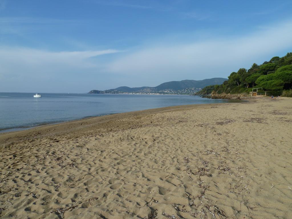 Gigaro Daire La Croix-Valmer Oda fotoğraf