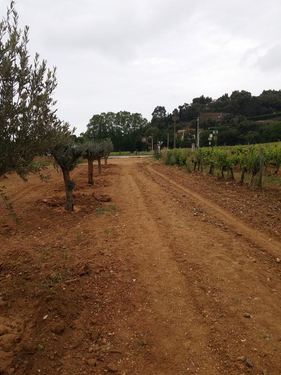 Gigaro Daire La Croix-Valmer Dış mekan fotoğraf
